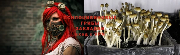 молекула духа Балабаново