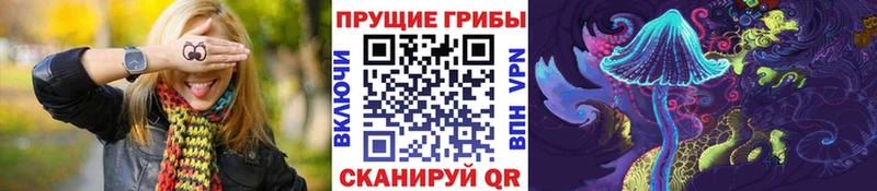Купить  Саяногорск  Псилоцибиновые грибы ЛСД 